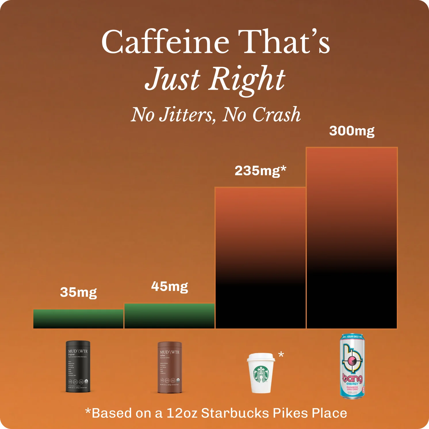 Coffee Starter Kit - Image 10